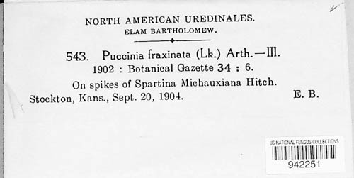 Puccinia fraxinata image
